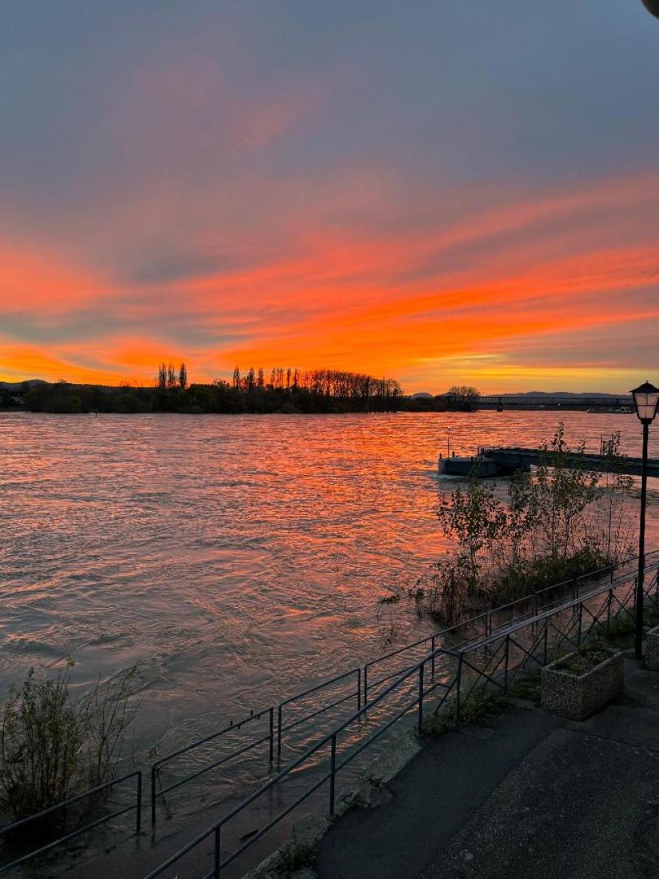 Villa Rheinstein Am Schloss Engers นอยวิท ภายนอก รูปภาพ